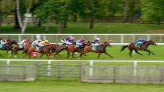 Newmarket race action